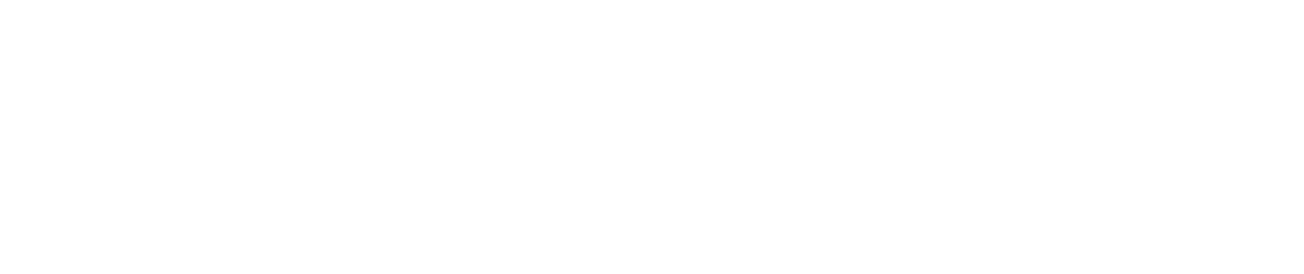 Kingston Bear